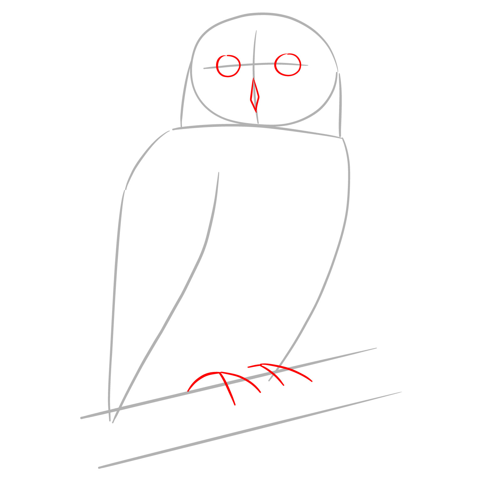 How to Draw a Snowy Owl - step 02