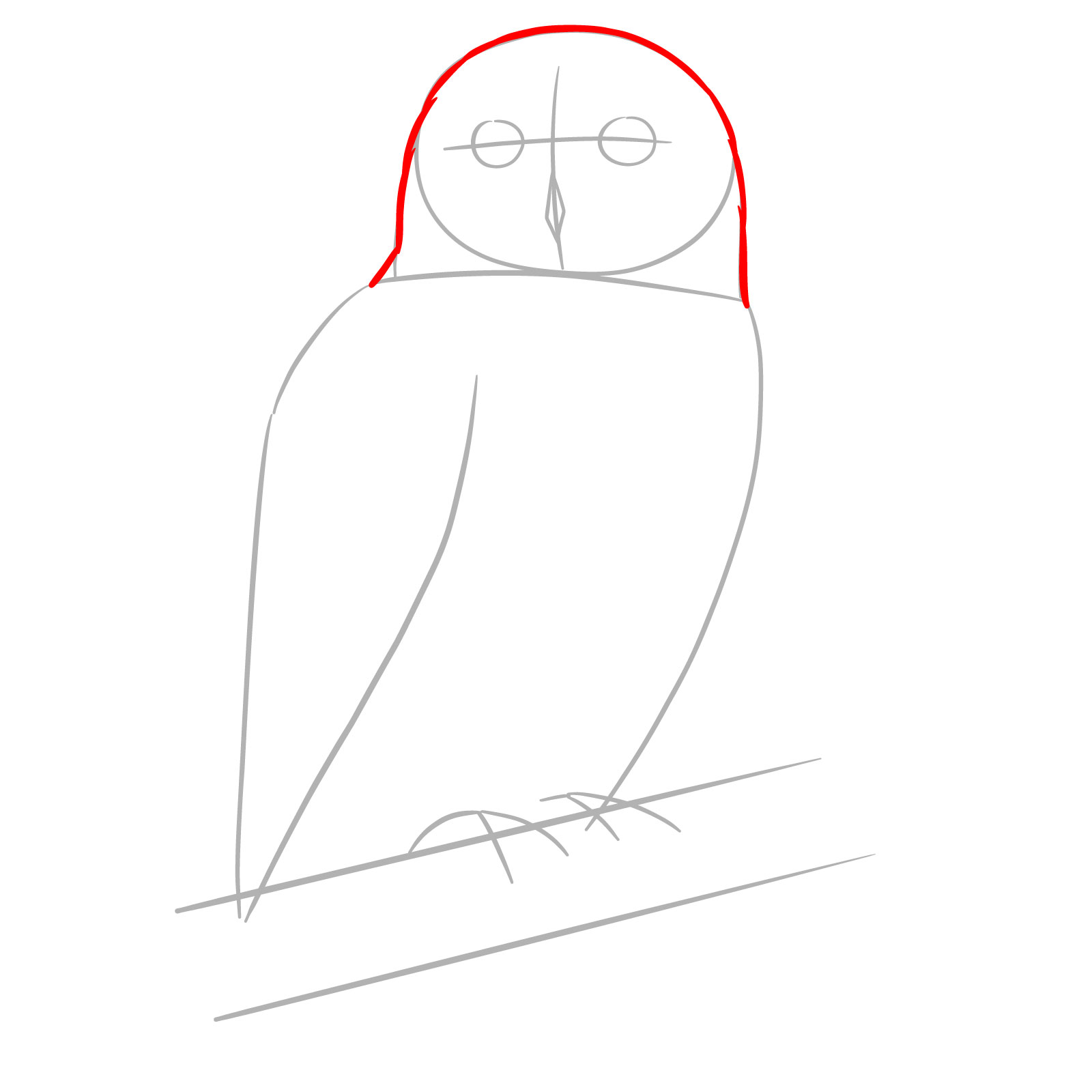 How to Draw a Snowy Owl - step 03