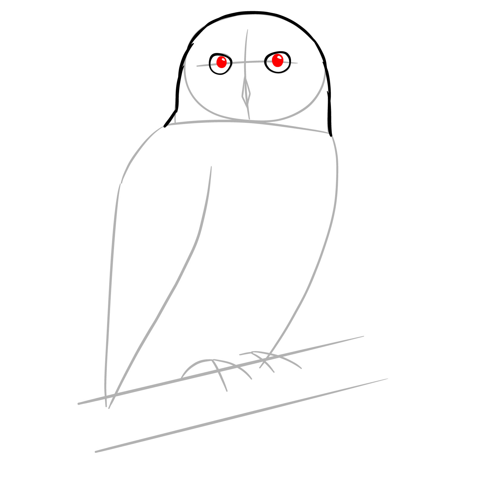 How to Draw a Snowy Owl - step 05