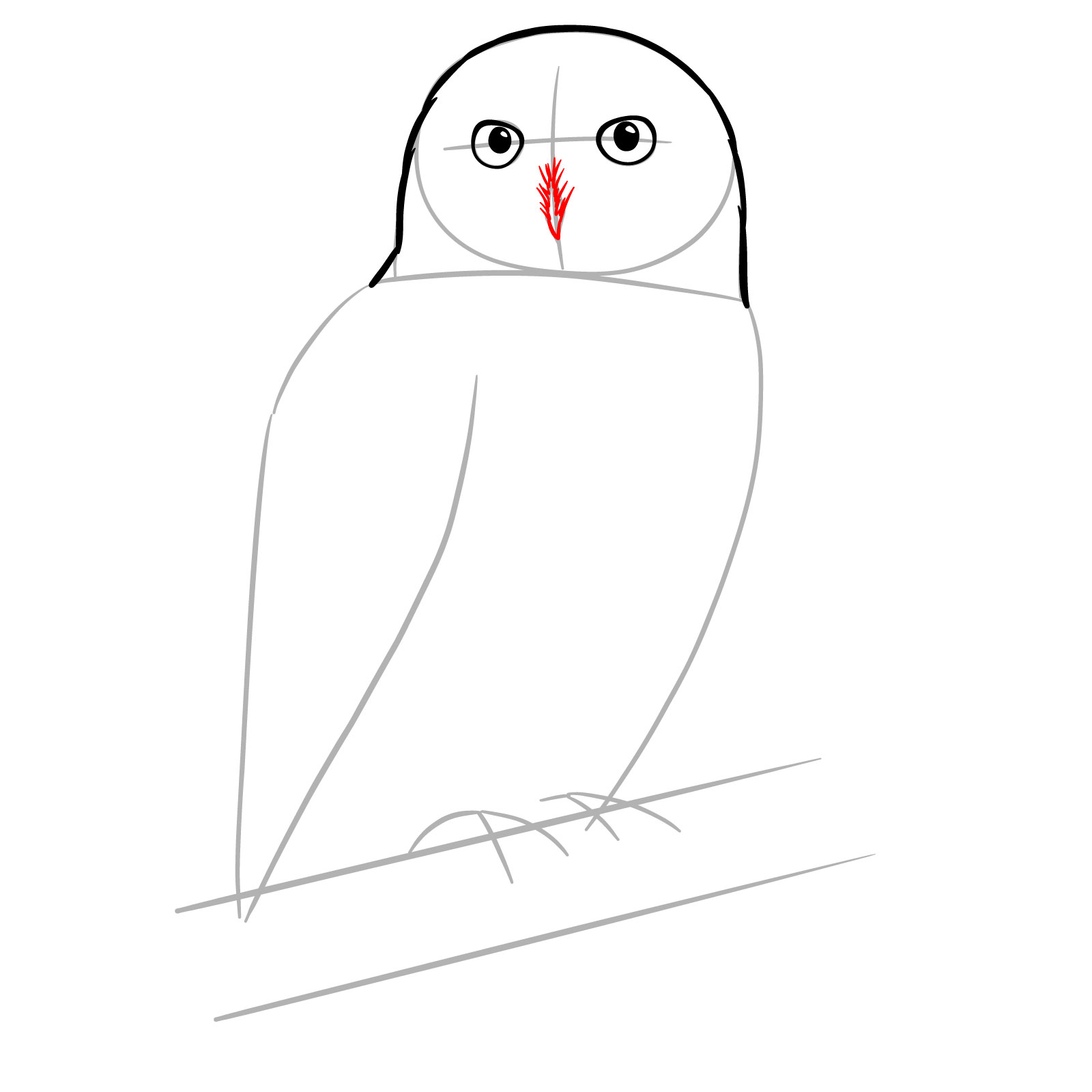 How to Draw a Snowy Owl - step 06