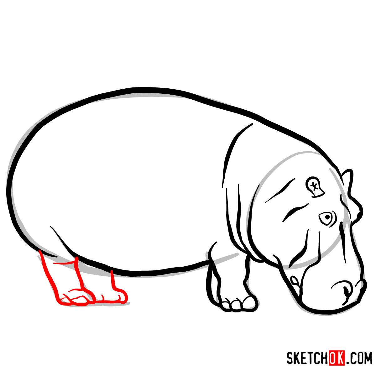 How to draw a Hippopotamus | Wild Animals - Sketchok easy drawing guides