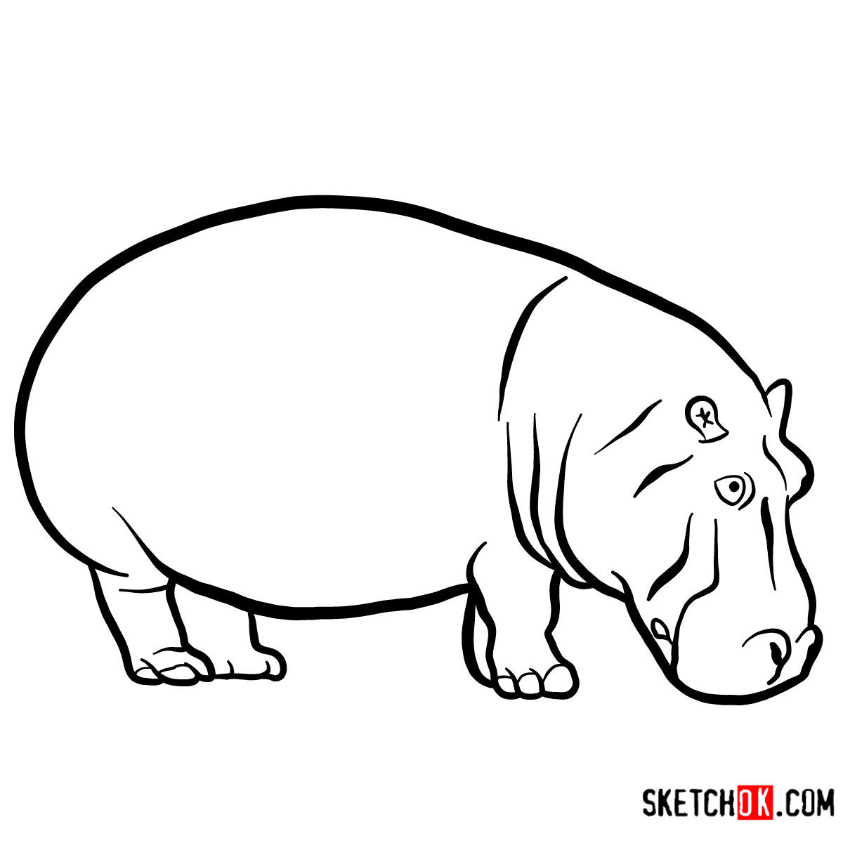 How to draw a Hippopotamus | Wild Animals - Sketchok