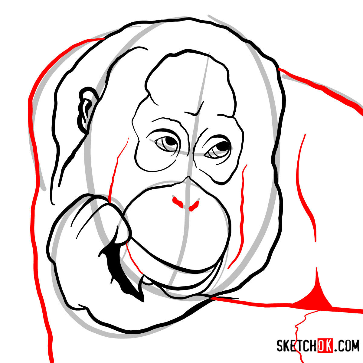 How to draw Orangutan's head | Wild Animals - step 06
