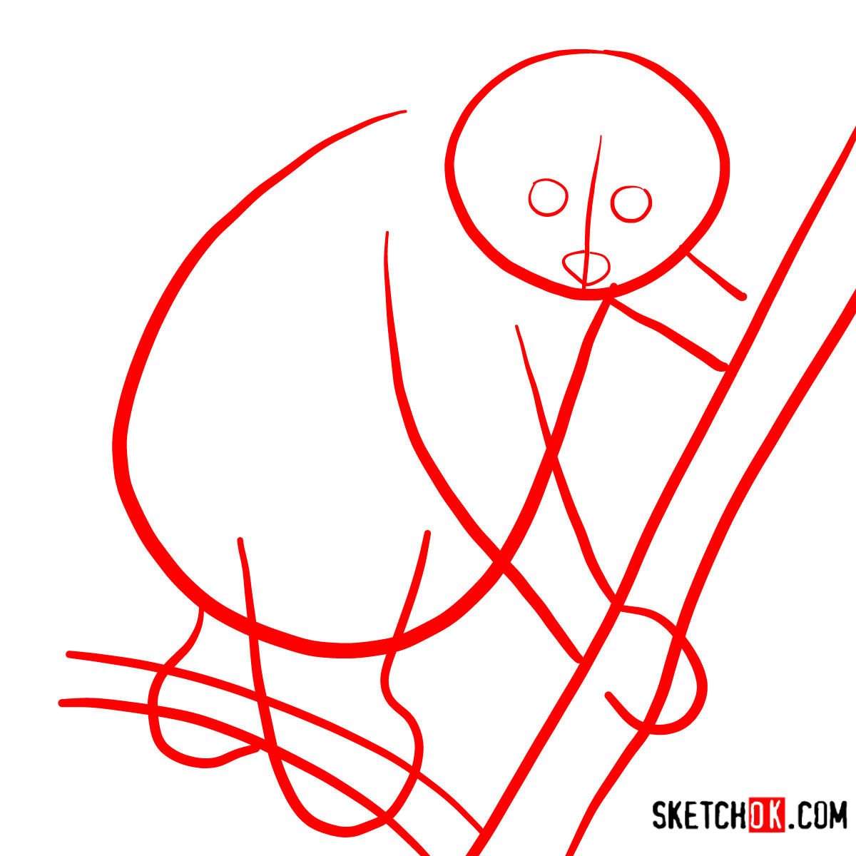 How to draw a Slow loris | Wild Animals - step 01