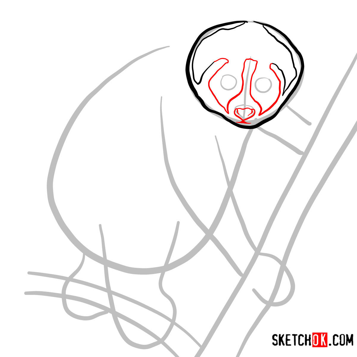 How to draw a Slow loris | Wild Animals - step 03