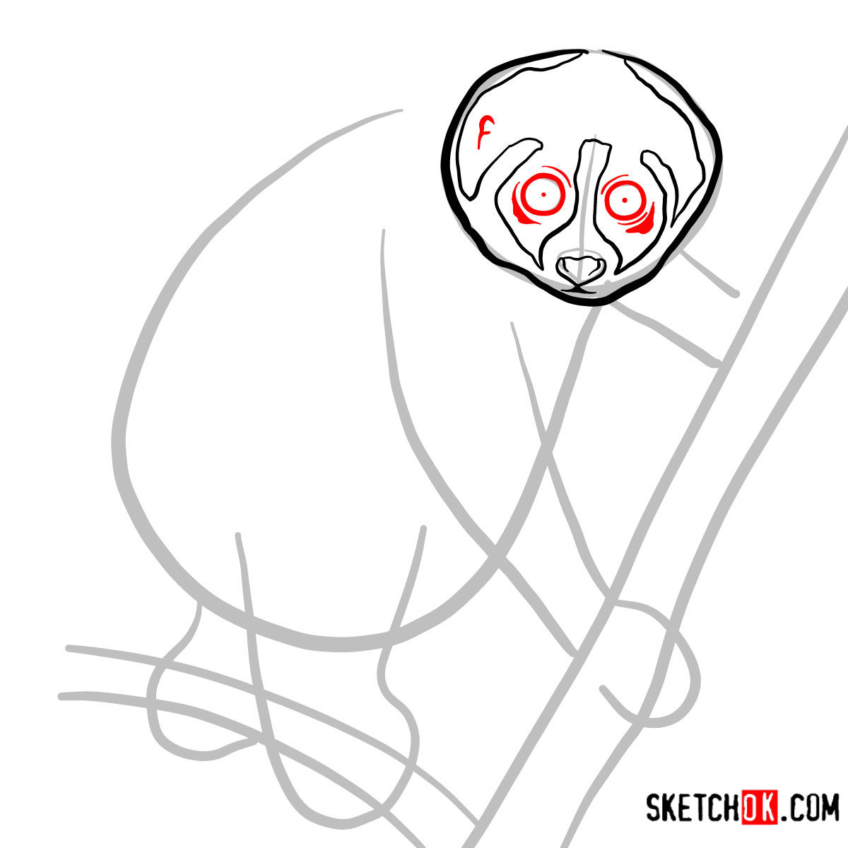 How to draw a Slow loris | Wild Animals - step 04