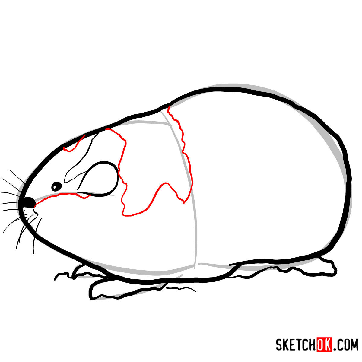How to draw a Lemming | Wild Animals - step 05