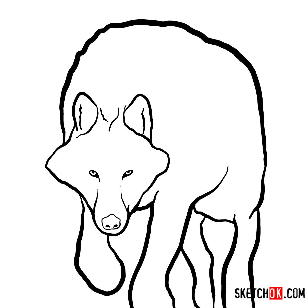 How To Draw A Black And White Wolf - How To Draw A Wolf Face Head Step