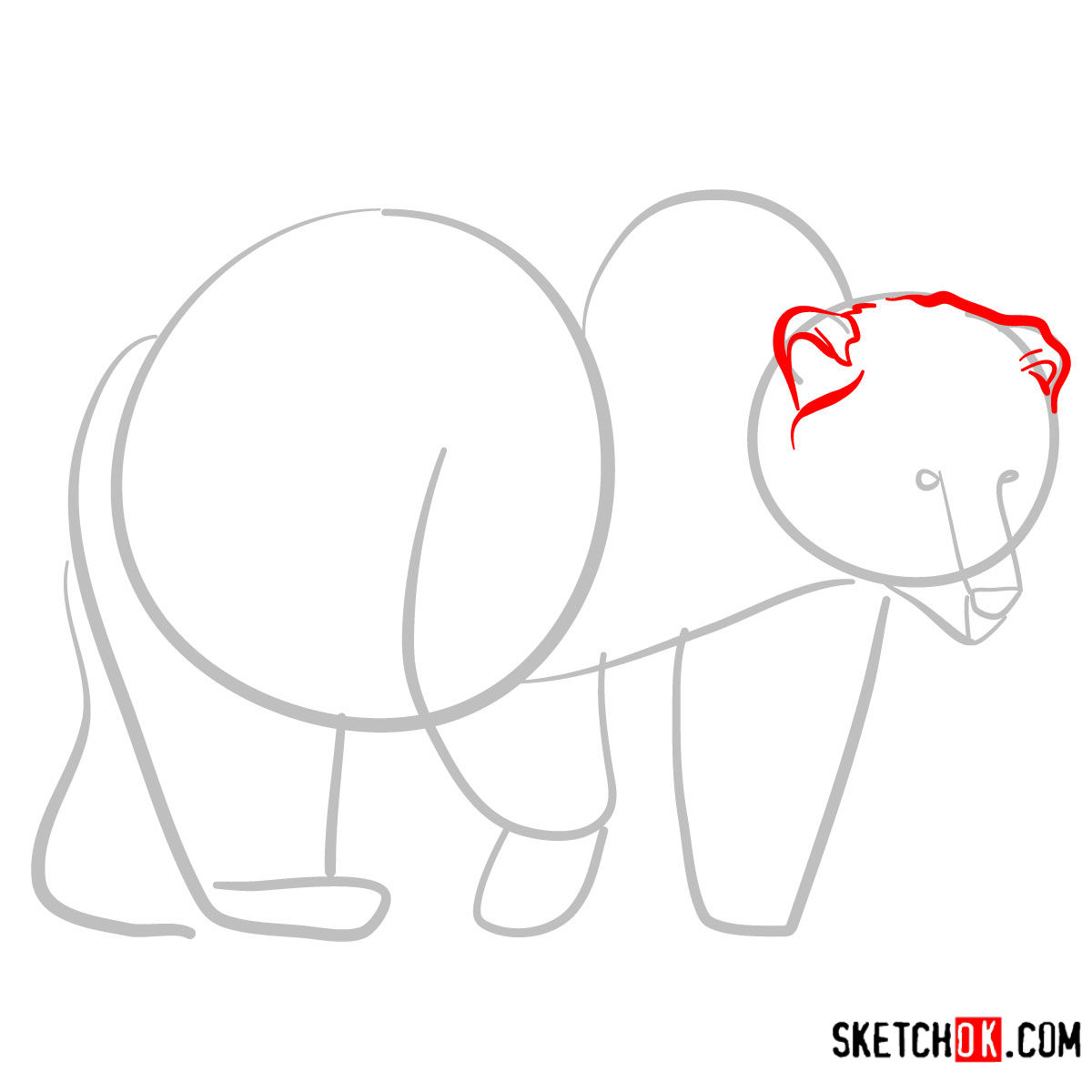 How to draw a brown bear | Wild Animals - step 03