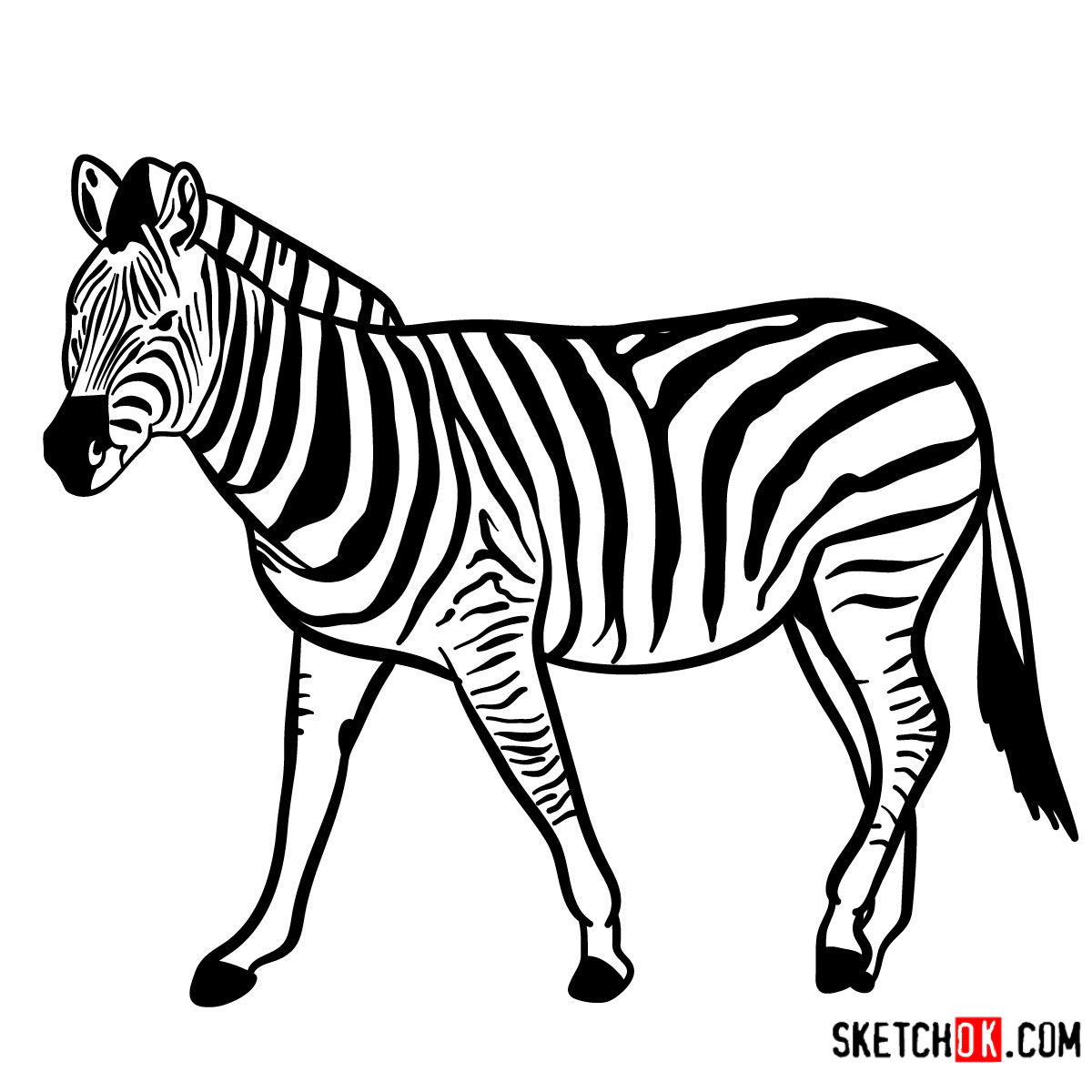 a zebra drawing