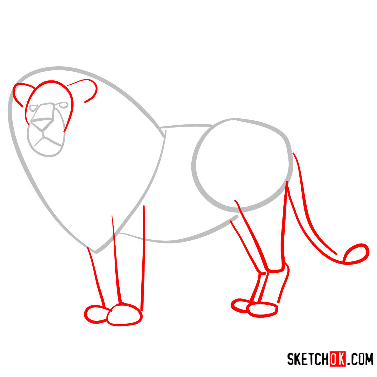 How to draw a Lion standing | Wild Animals - step 02