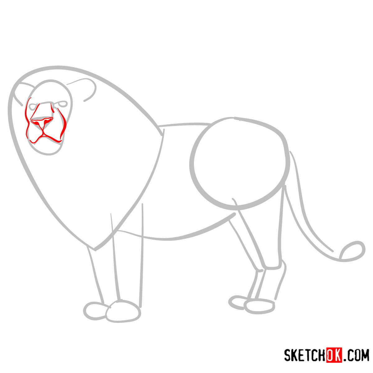 How to draw a Lion standing | Wild Animals - step 03