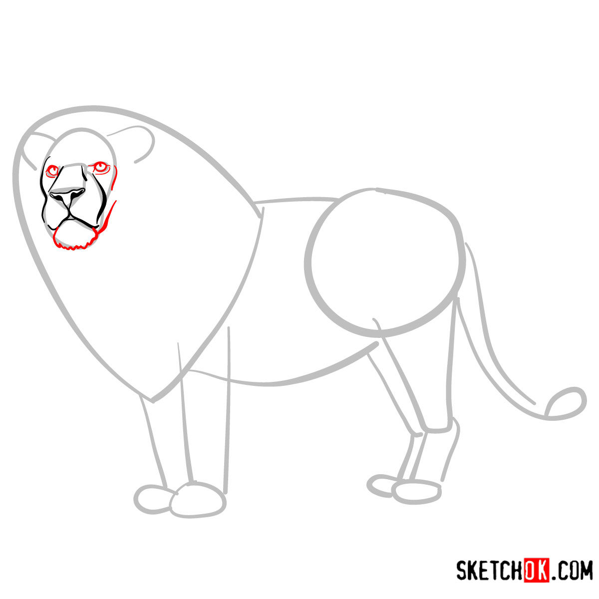 How to draw a Lion standing | Wild Animals - step 04