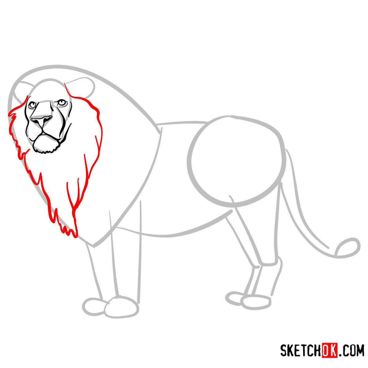 How to draw a Lion standing | Wild Animals - step 05