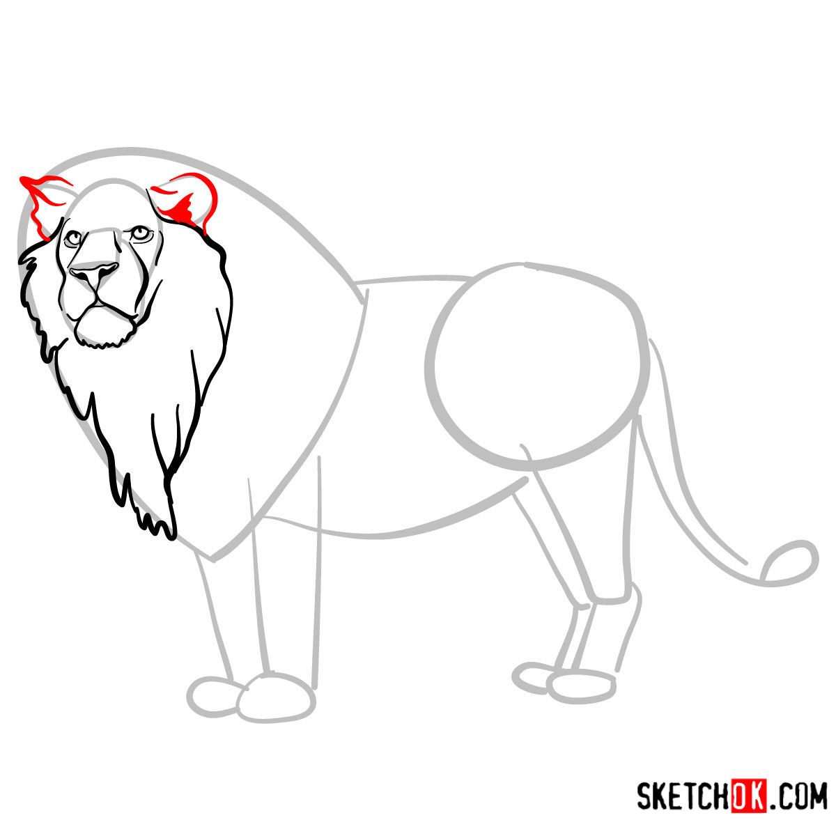 How to draw a Lion standing | Wild Animals - step 06