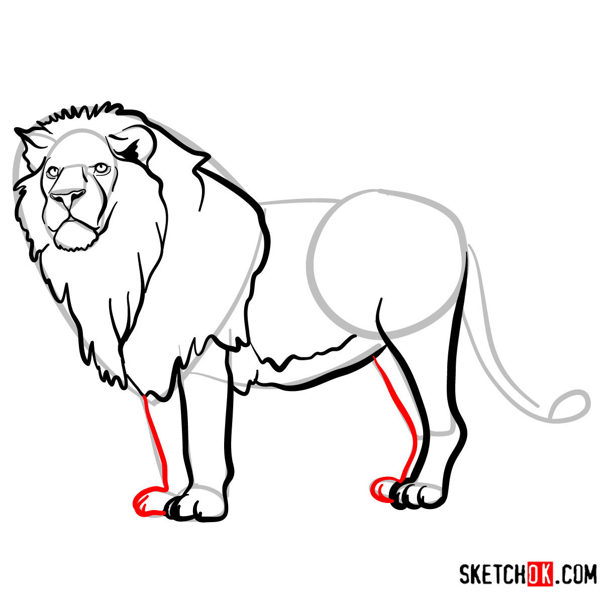 How to draw a Lion standing | Wild Animals - step 10