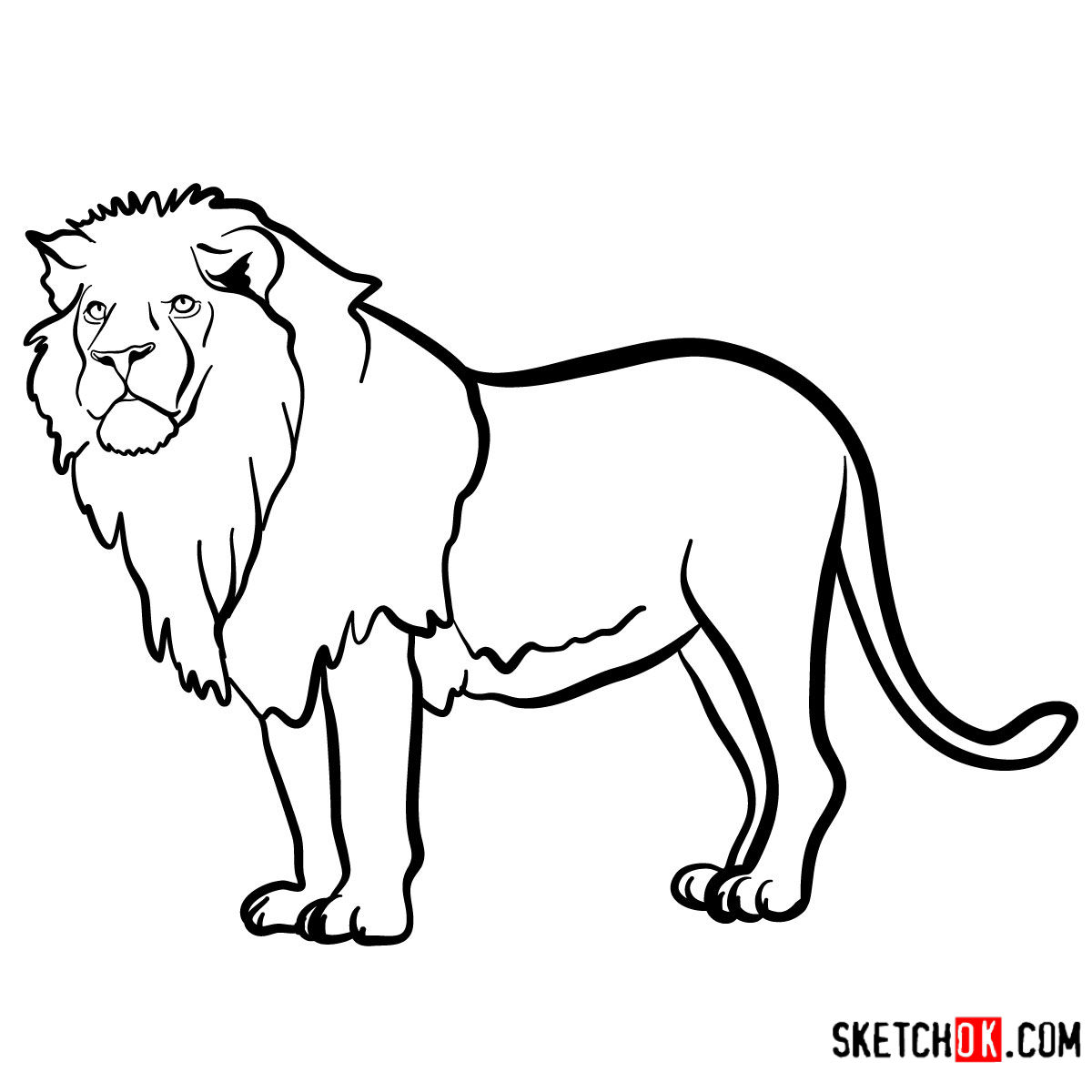How to draw a Lion standing Wild Animals Step by step