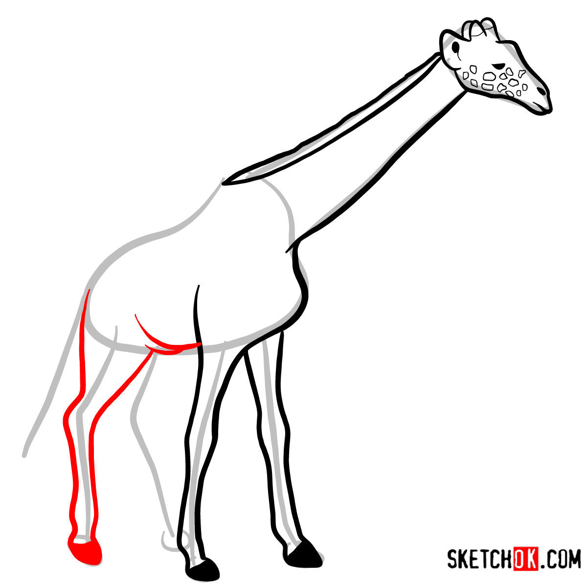 How to draw a Giraffe in full growth | Wild Animals - step 07