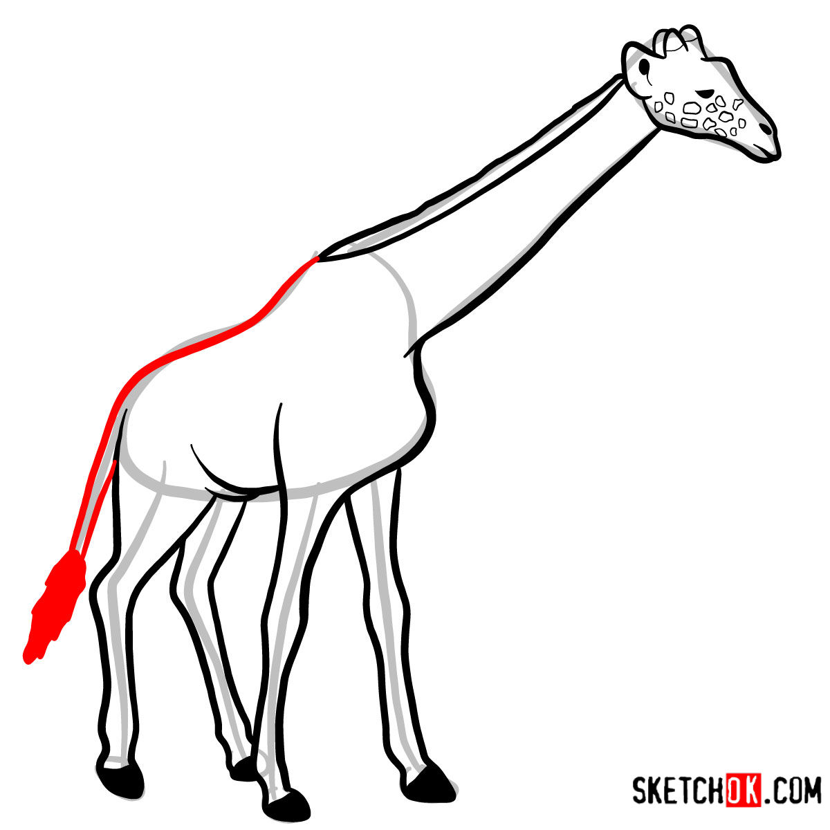 How to draw a Giraffe in full growth | Wild Animals - step 09