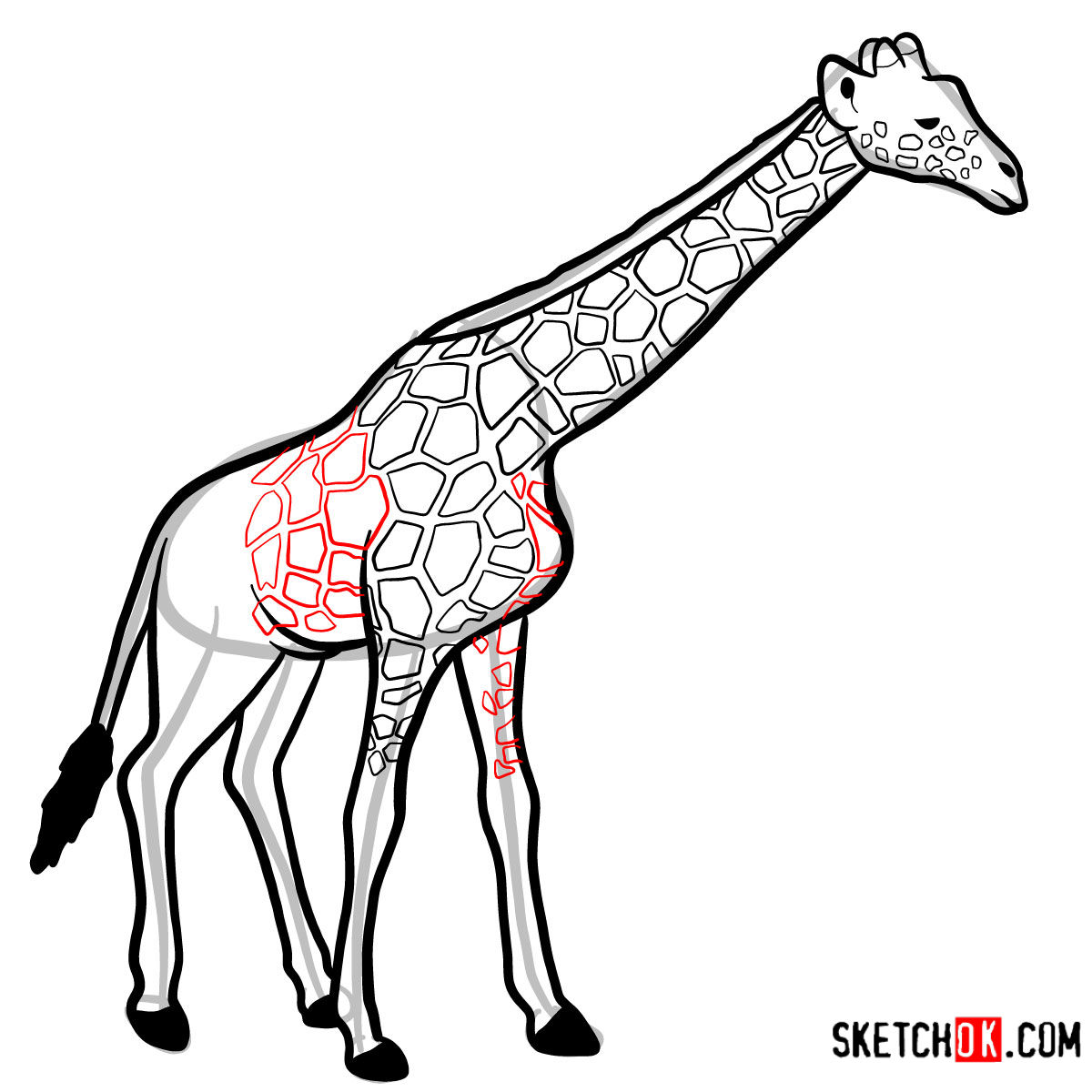 How to draw a Giraffe in full growth | Wild Animals - step 12