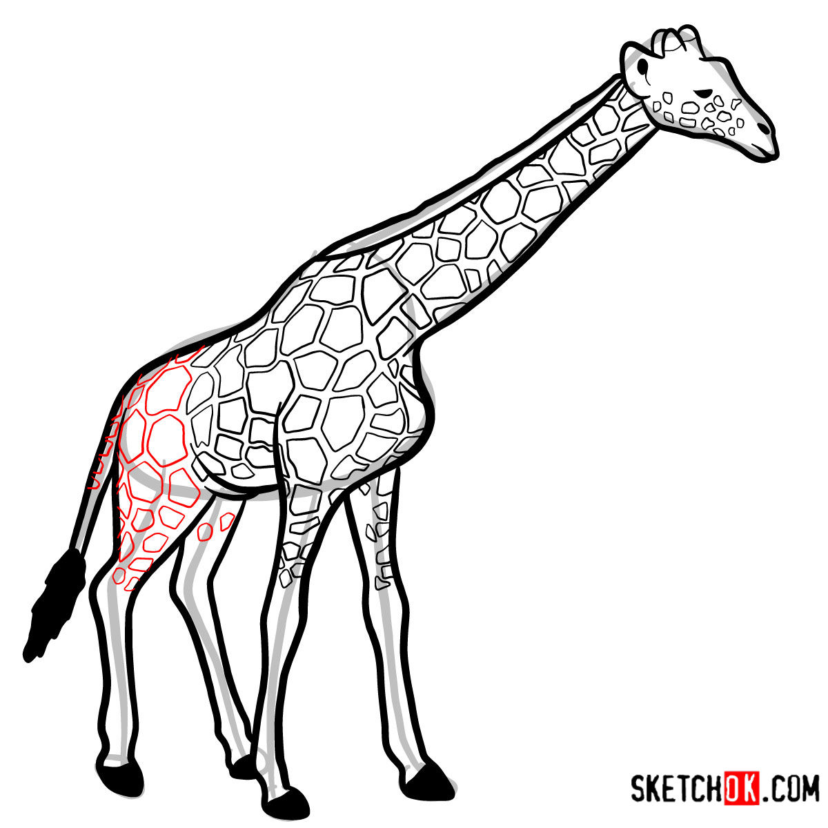 How to draw a Giraffe in full growth | Wild Animals - step 13