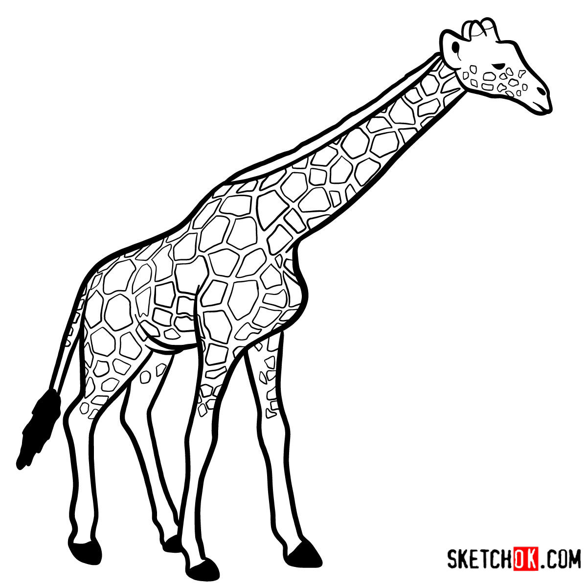 How to draw a Giraffe in full growth