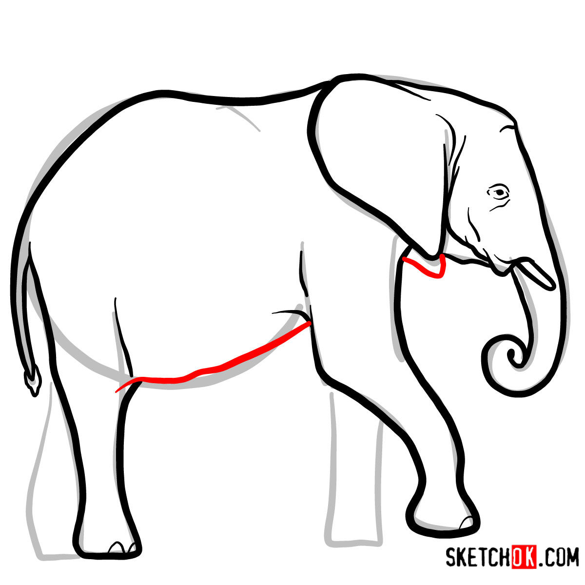 How to draw an Elephant side view | Wild Animals - step 07