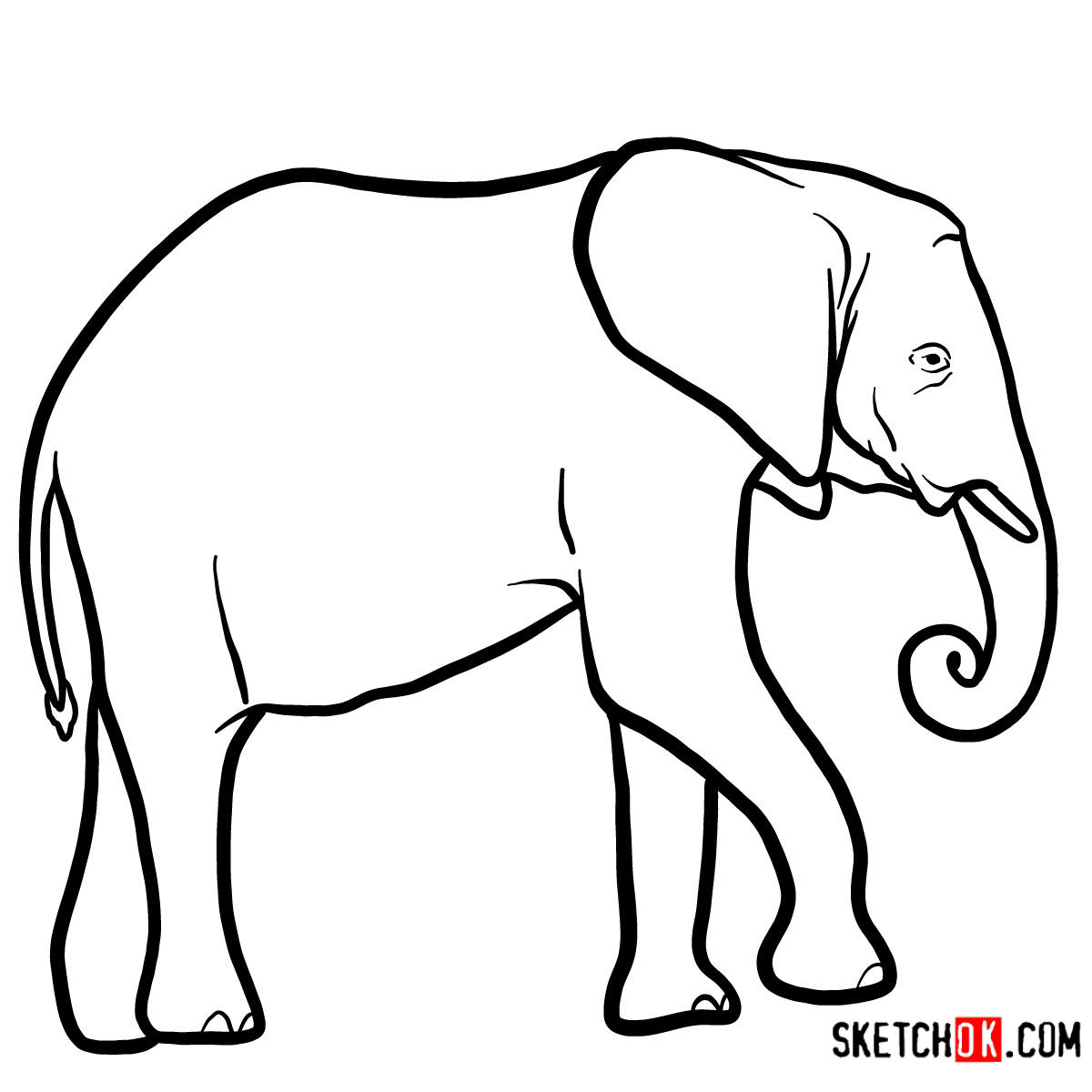 elephant side view drawing