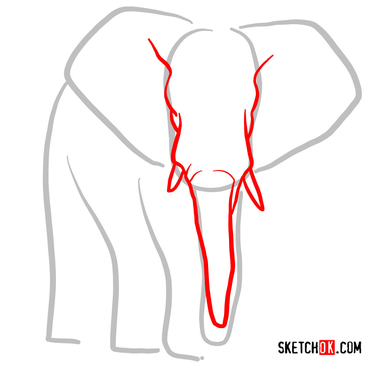 How to draw an Elephant front view | Wild Animals - step 02