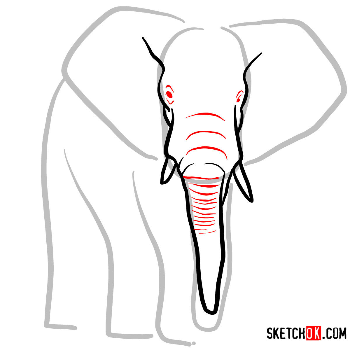 How to draw an Elephant front view | Wild Animals - step 03