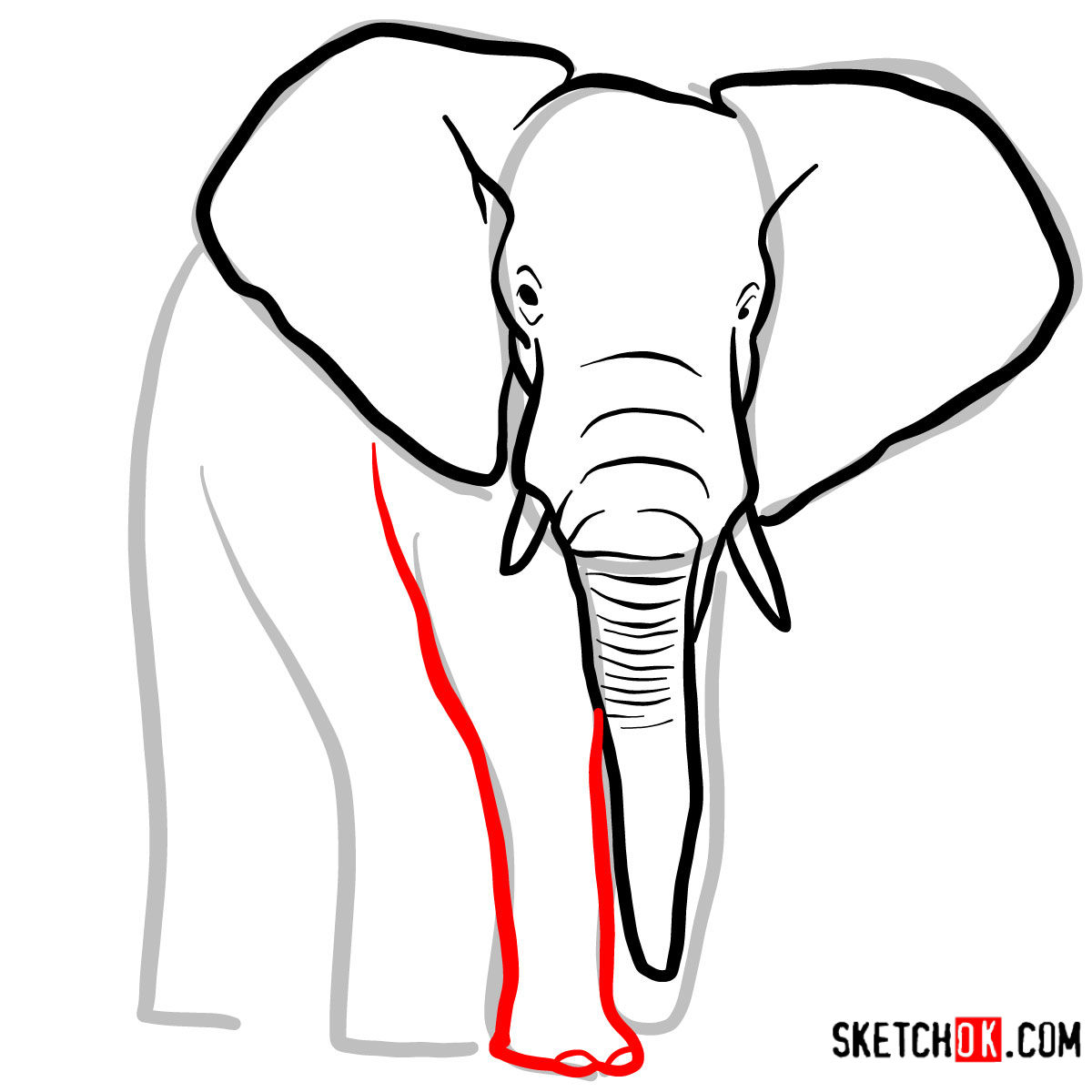 How to draw an Elephant front view | Wild Animals - step 05