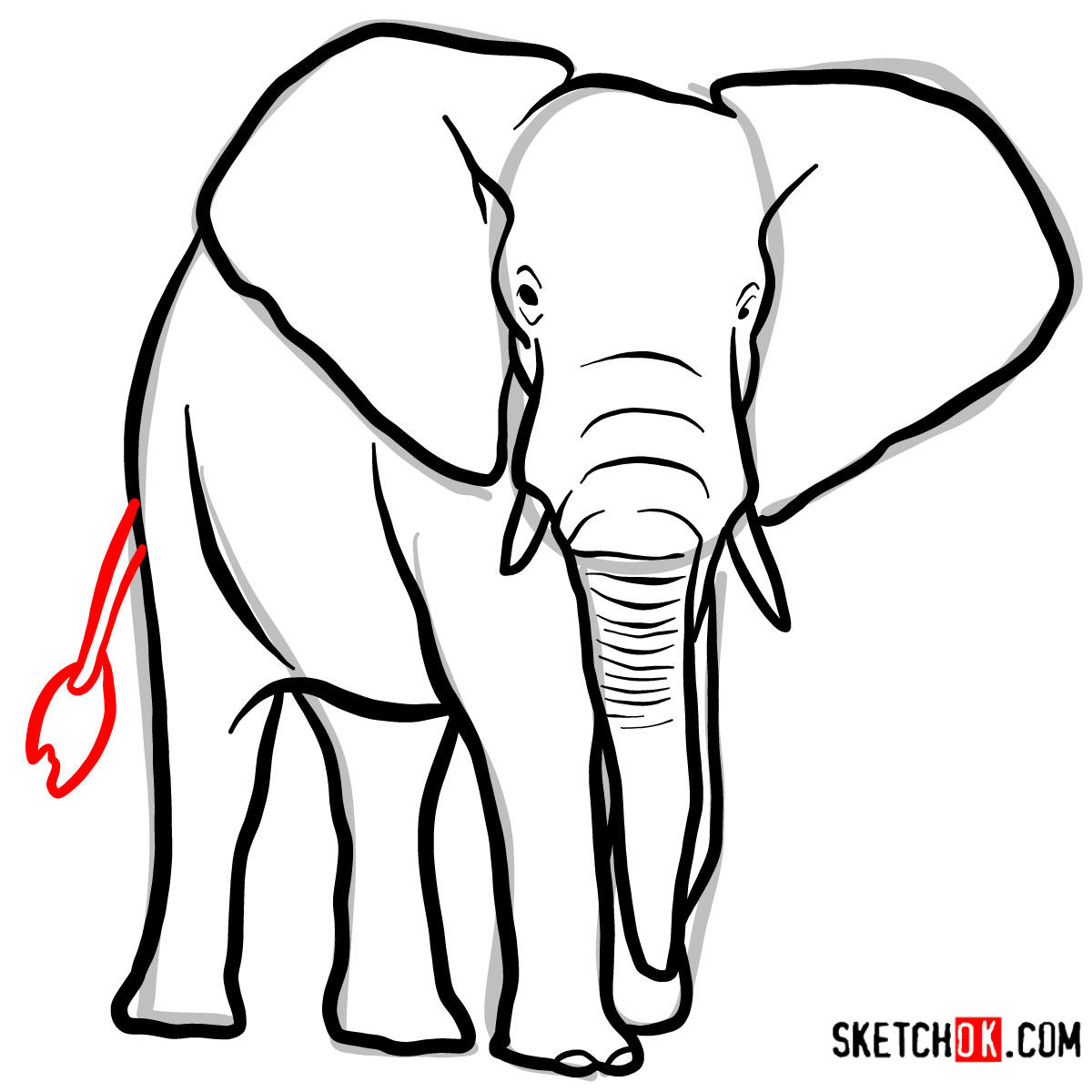 How to draw an Elephant front view Wild Animals Sketchok easy