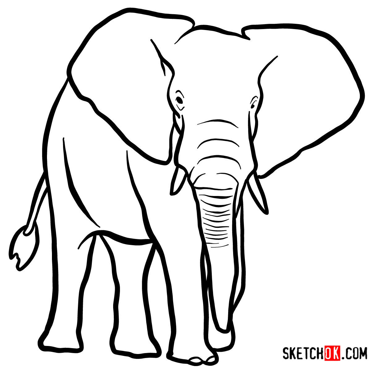 How to Create an Easy Baby Elephant Drawing - Step-by-Step Tutorial