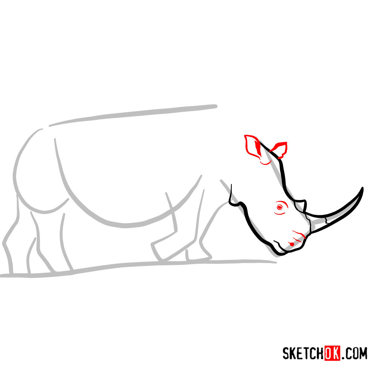 How to draw a Rhinoceros | Wild Animals - step 04
