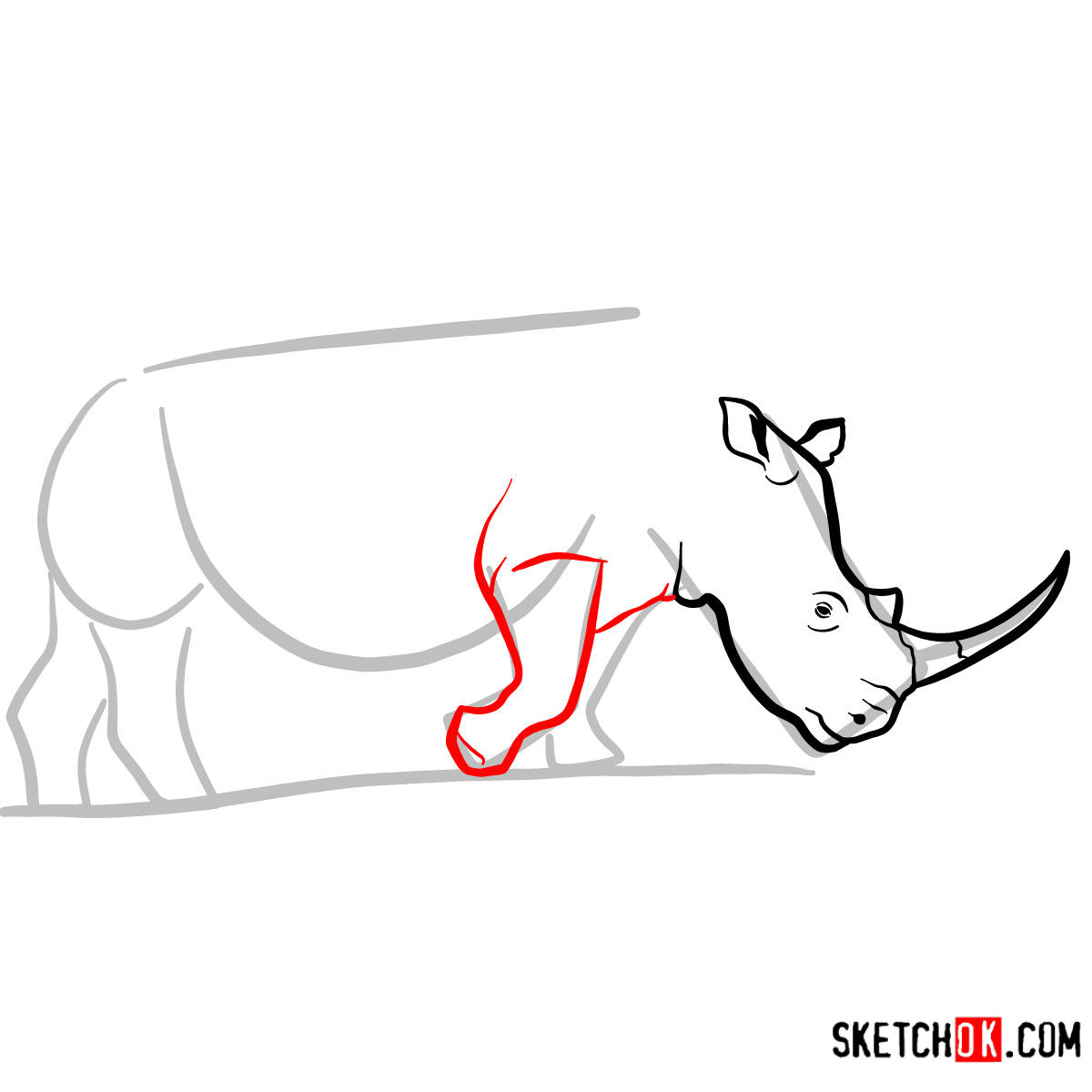 How to draw a Rhinoceros | Wild Animals - step 05