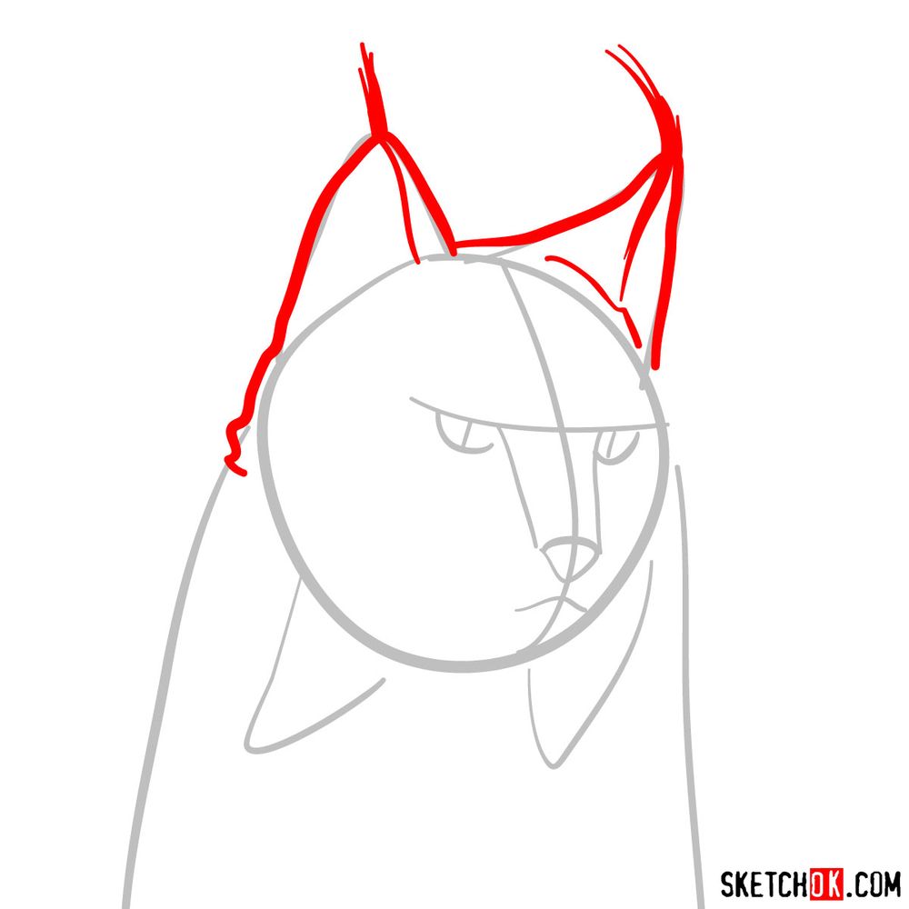 How to draw a lynx head - step 03