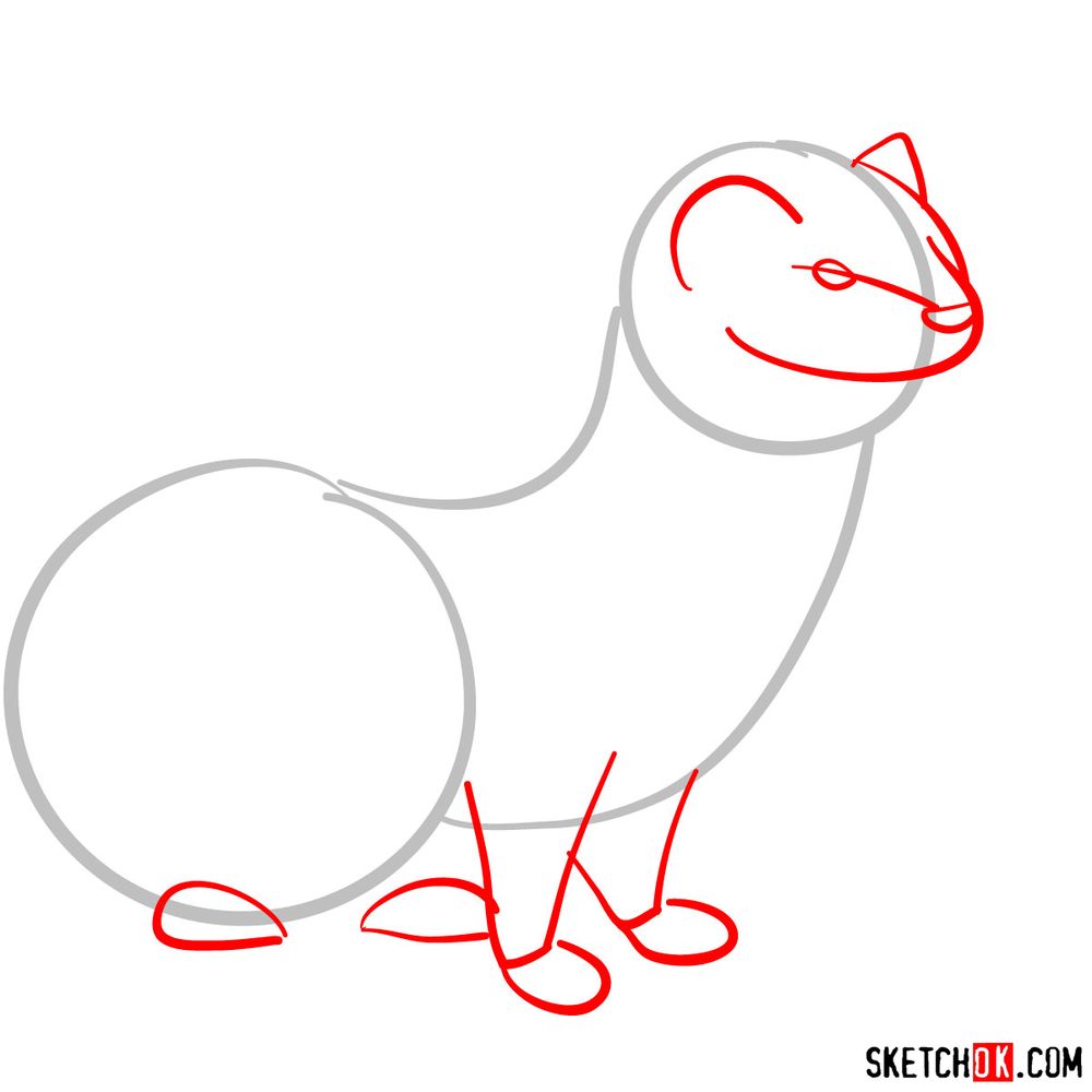 How to draw a weasel - step 02
