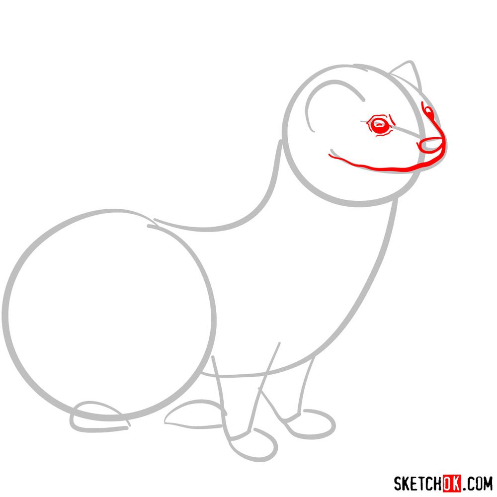How to draw a weasel - step 03