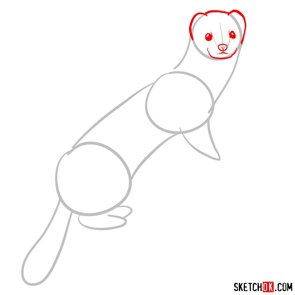 How to draw a white weasel - step 03