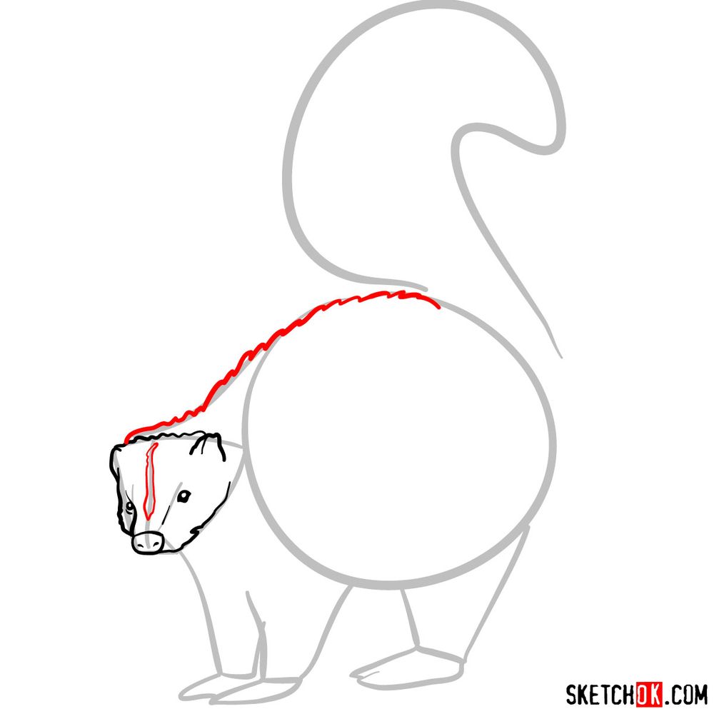 How to draw a skunk - step 05