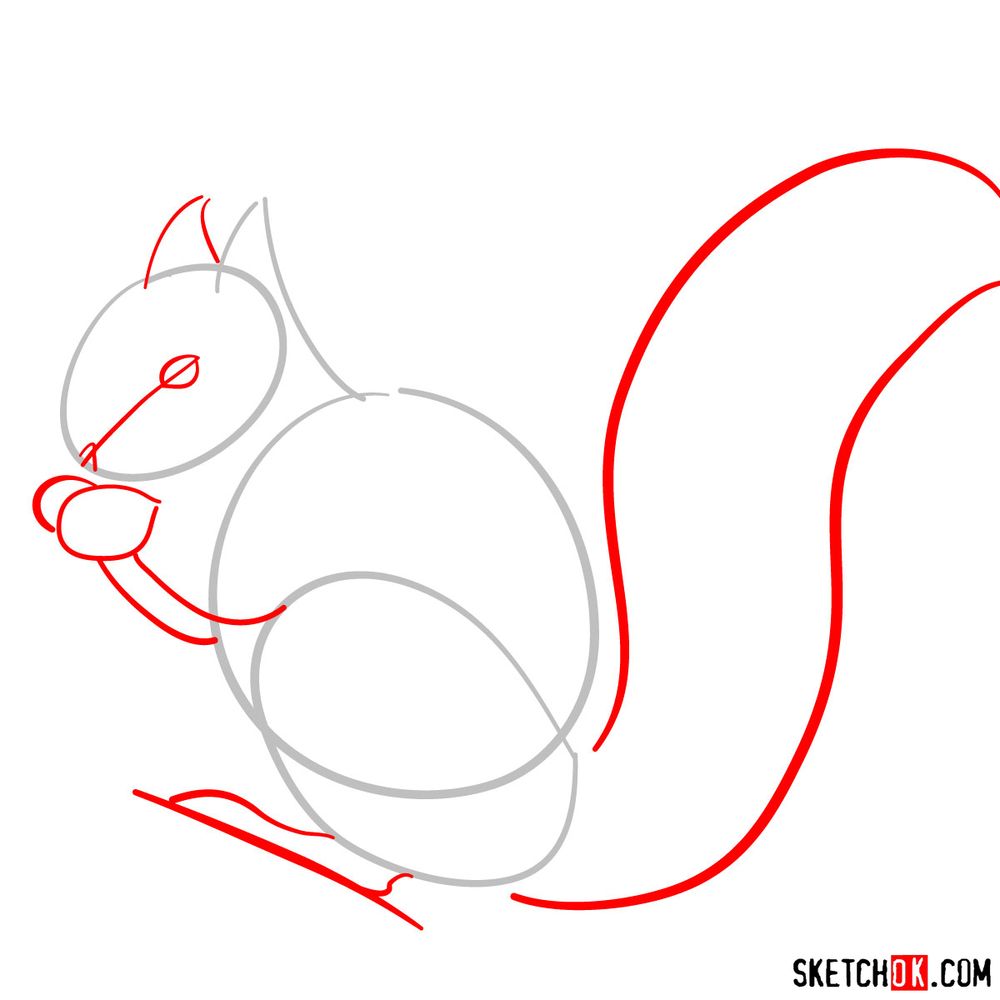 How to draw a squirrel (side view) - step 02