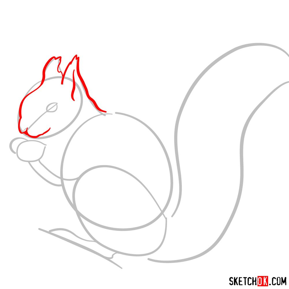 How to draw a squirrel (side view) - step 03