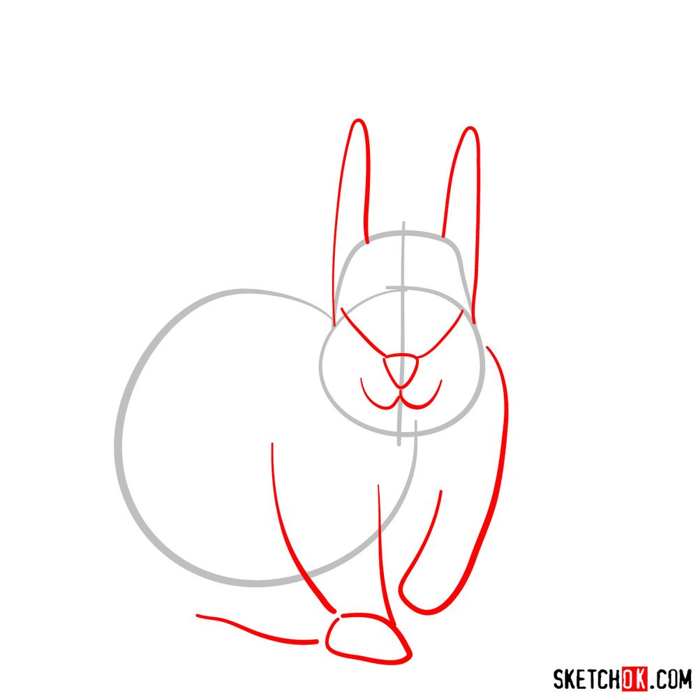 How to draw a squirrel (front view) - step 02