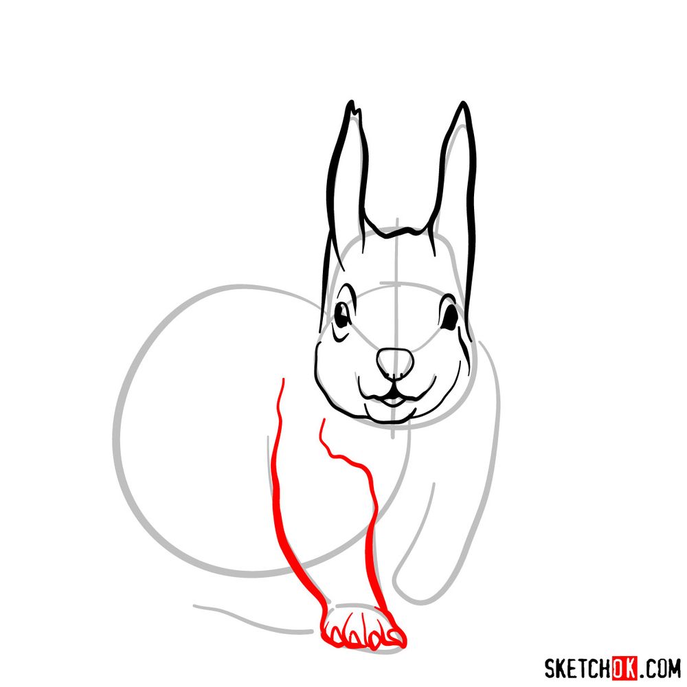 How to draw a squirrel (front view) - step 05