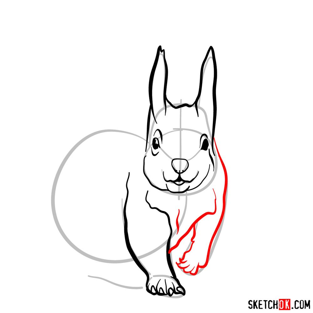How to draw a squirrel (front view) - step 06