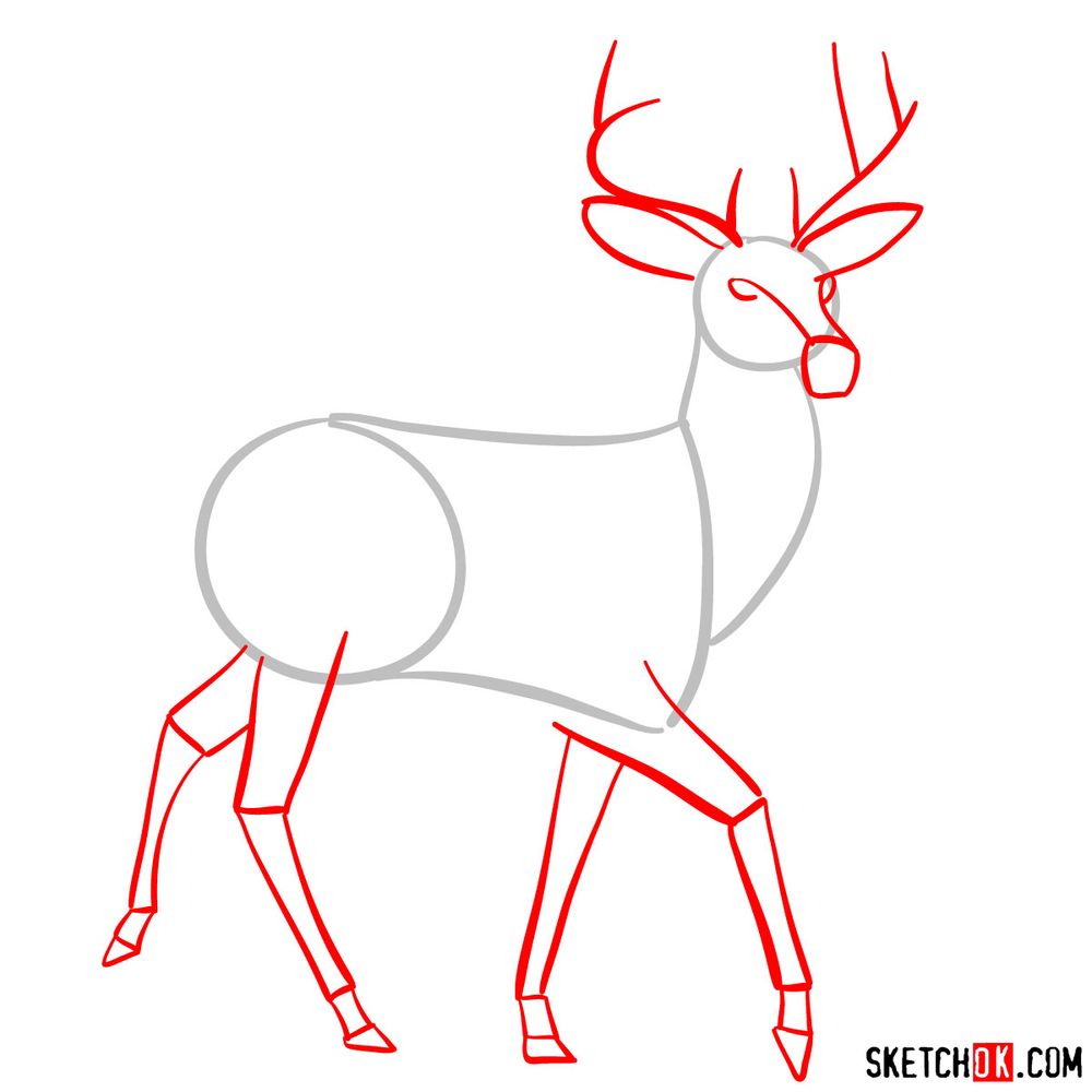 How to draw a deer - step 02