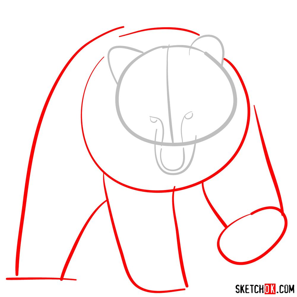 How to draw a grizzly bear (front view) - step 02