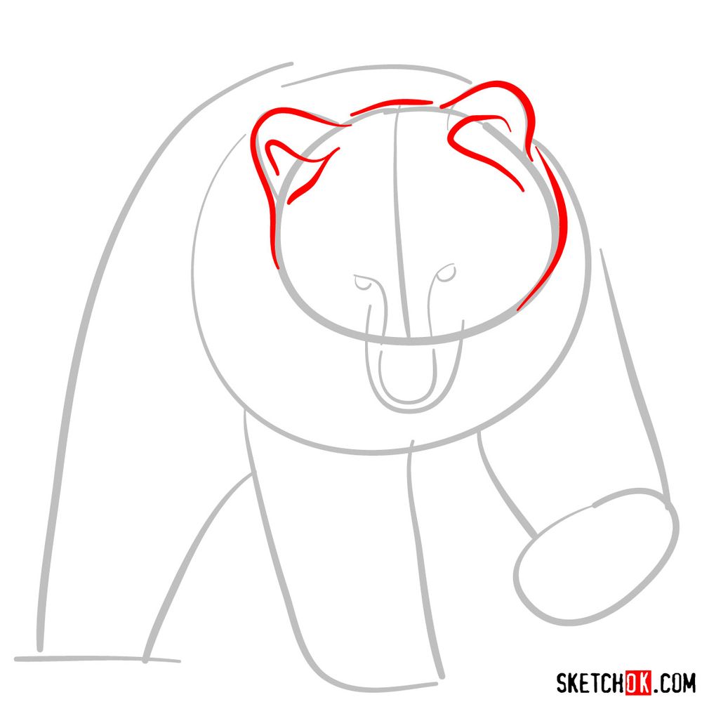 How to draw a grizzly bear (front view) - step 03