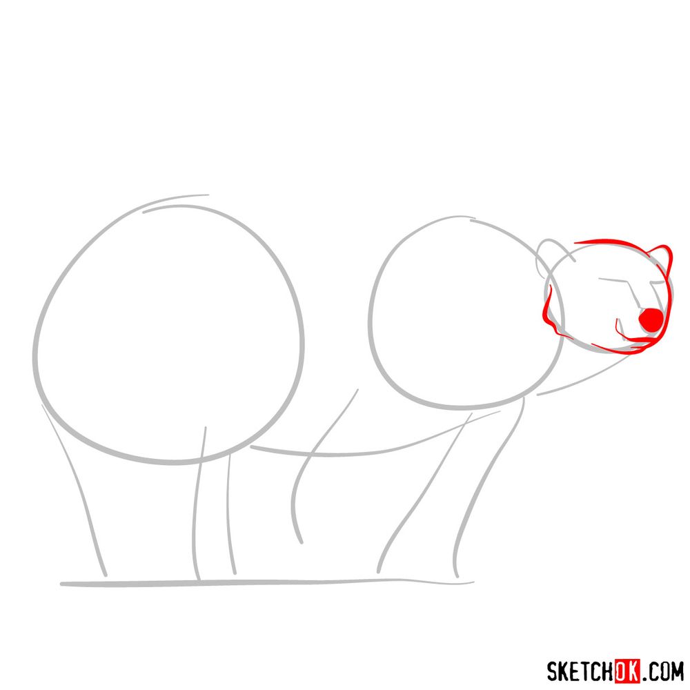 How to draw a polar bear with a baby bear - step 03