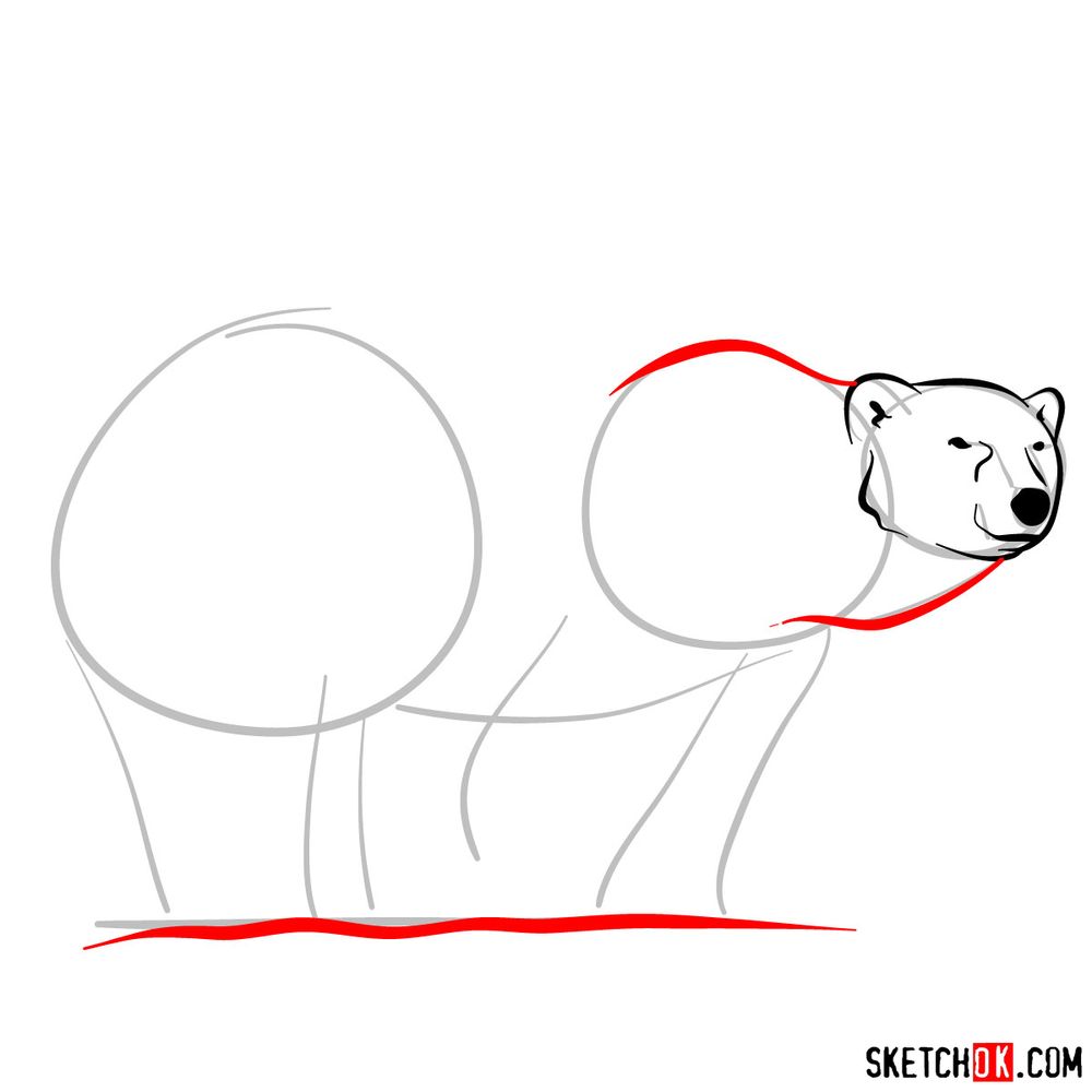 How to draw a polar bear with a baby bear - step 05
